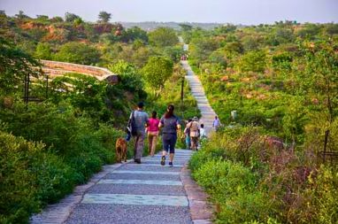 Book A Taxi Aravalli Biodiversity Park Gurgaon