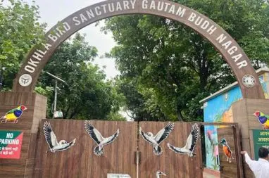 Book A Taxi Okhla Bird Sanctuary Noida