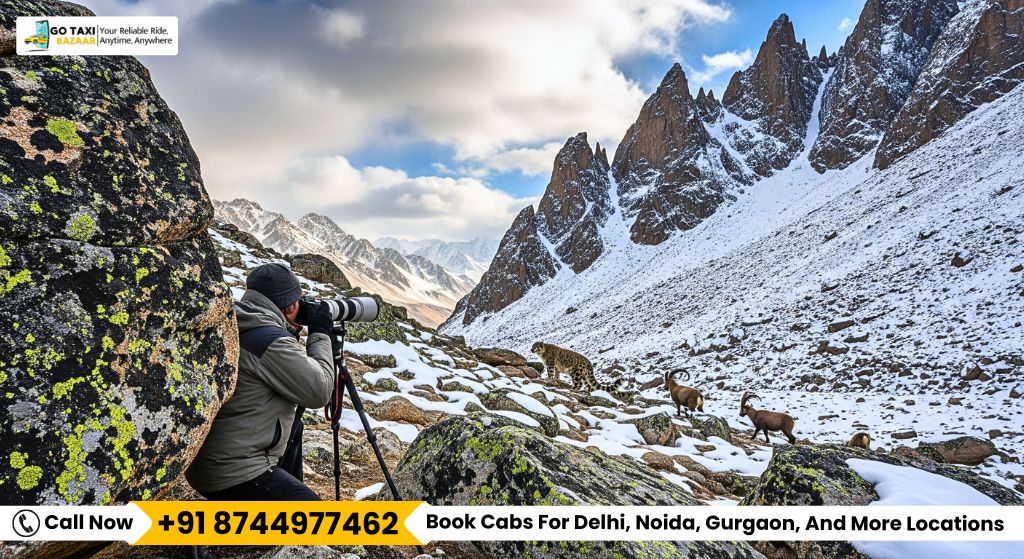 Witness Wildlife At Hemis National Park Call +918744977462
